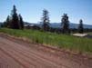 ViewFromProperty3